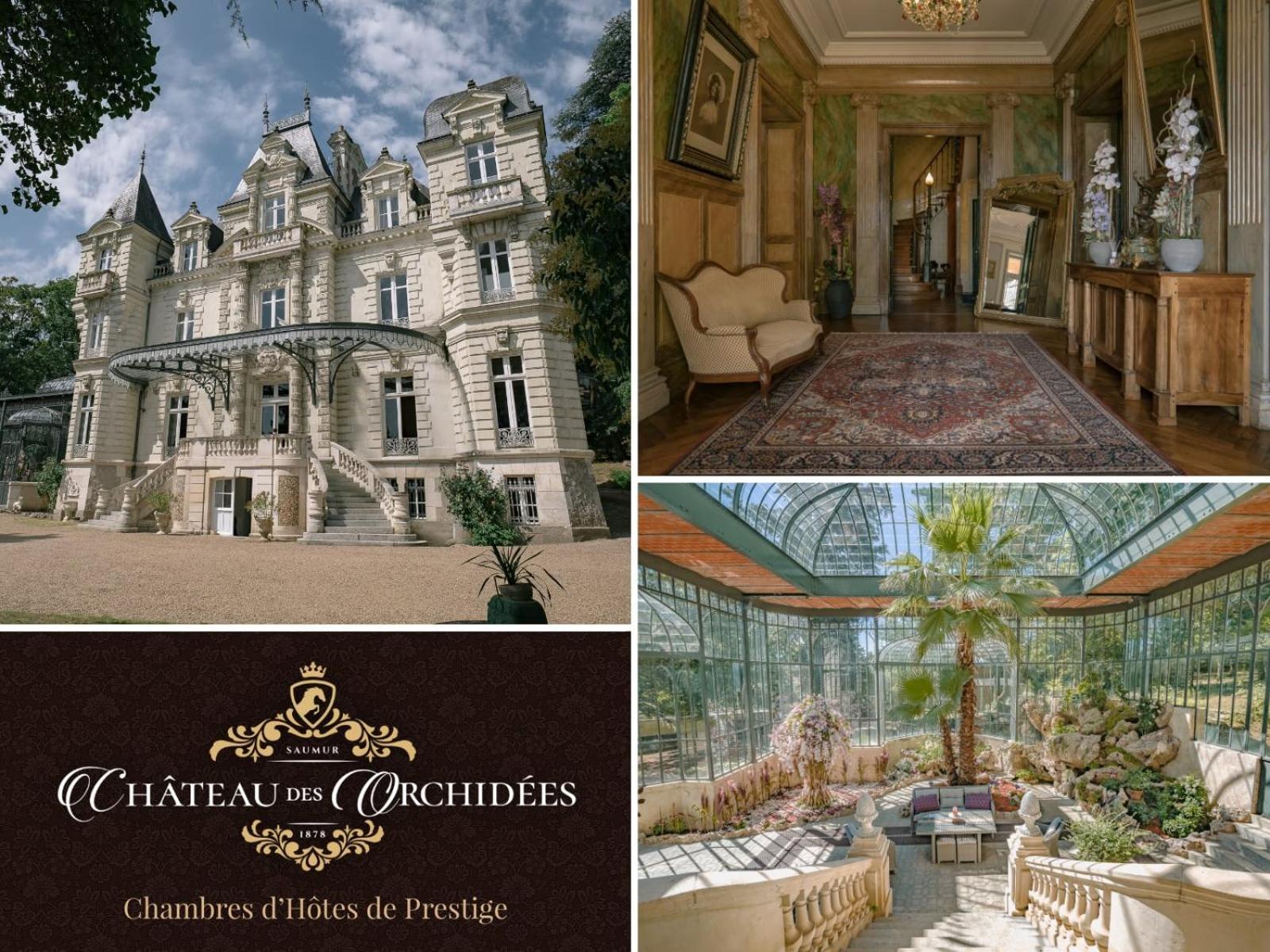 סומור Chateau Des Orchidees En Val De Loire מראה חיצוני תמונה